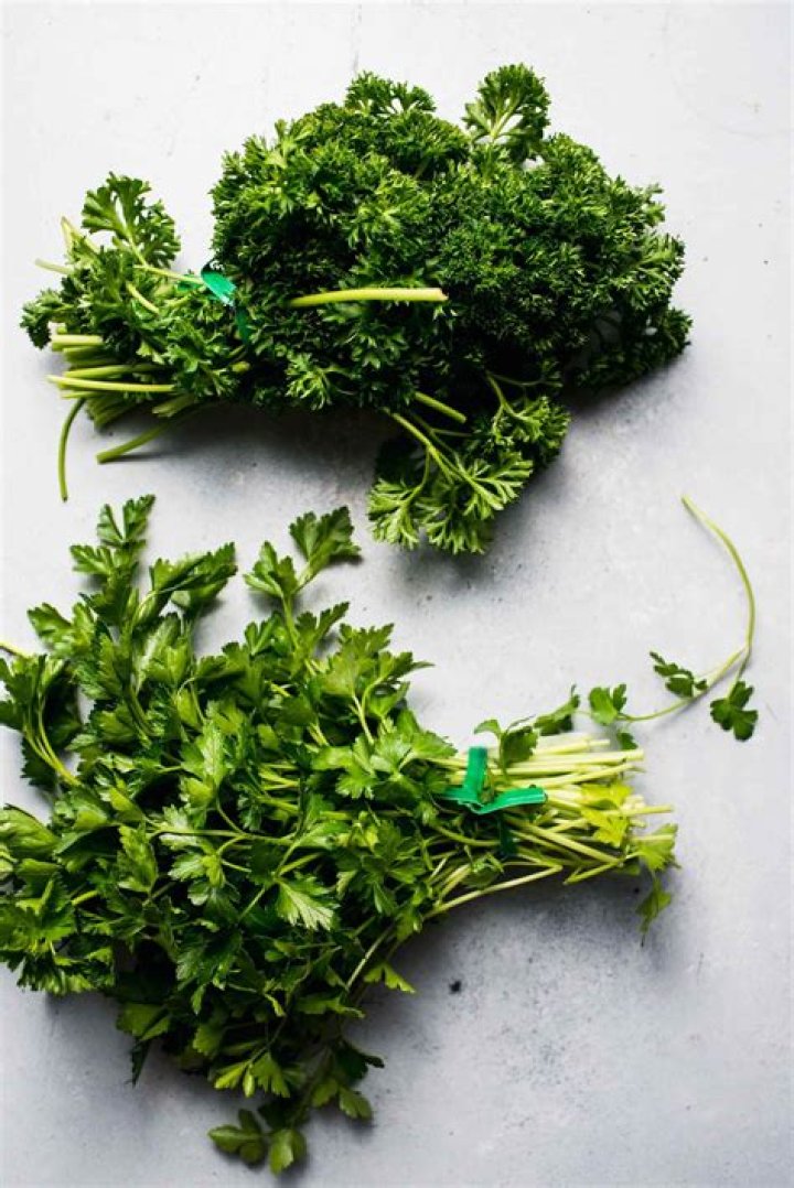 What's the difference between curly and Italian parsley?