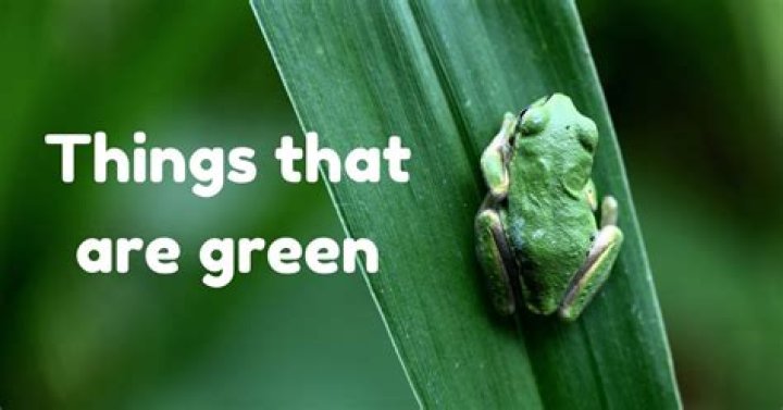 What are the green things in Mario?