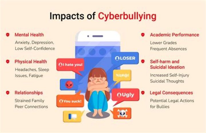 What are the negative effects of cyberbullying essay?