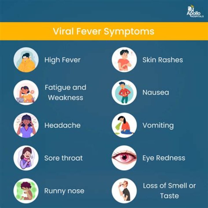 What are the symptoms of a flare up of lupus?