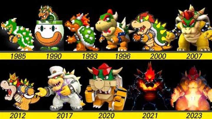 What Bowser means?