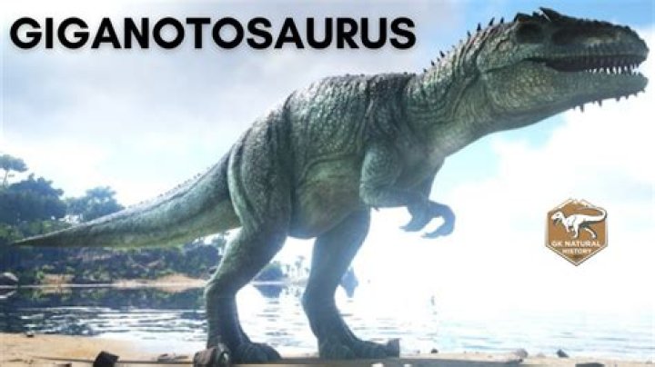 What did the biggest dinosaur eat?