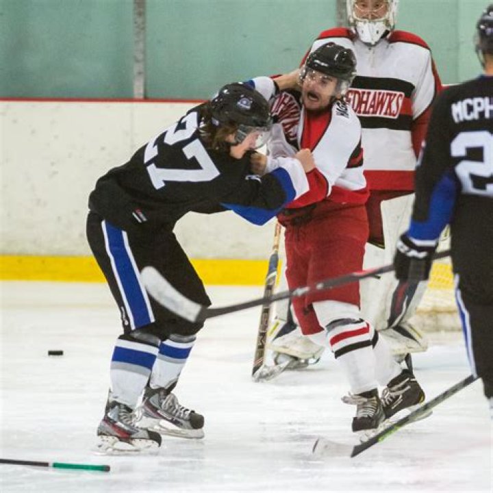 What do points mean in hockey?