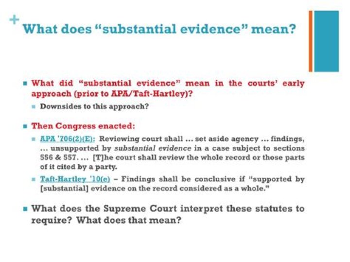 What does substantial evidence mean?