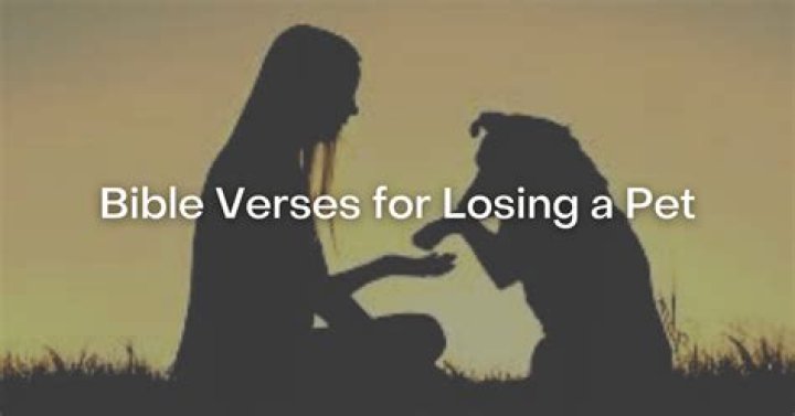 What does the Bible say about losing a pet?