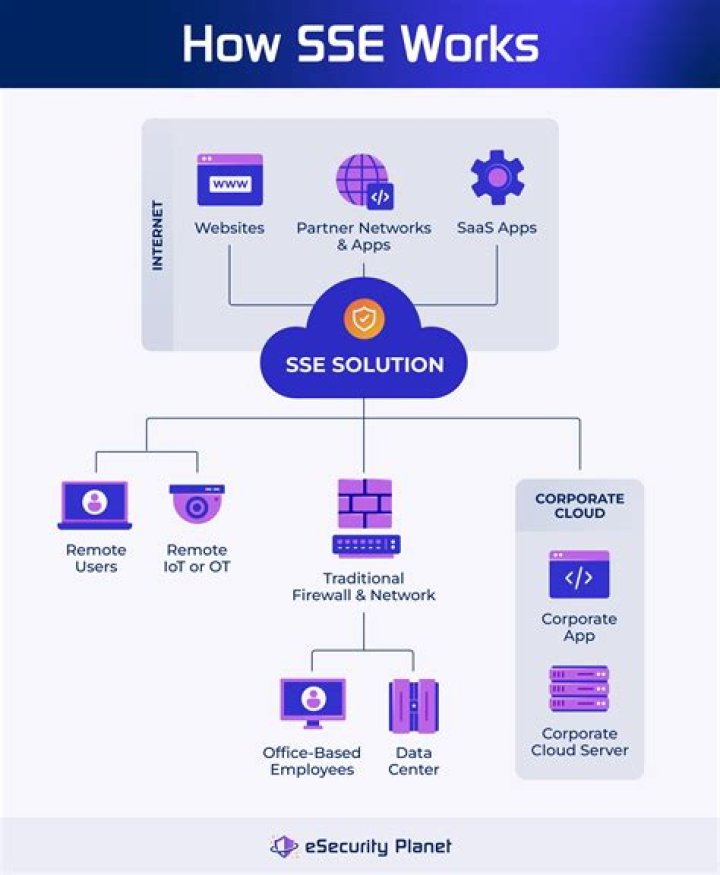 What does the SSE do?