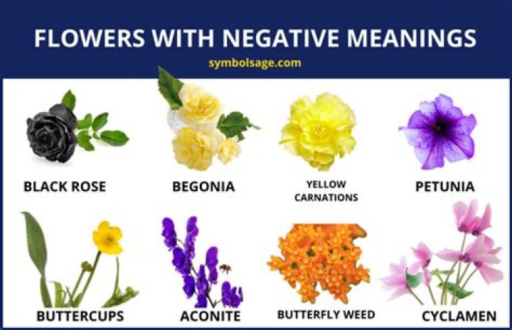 What flowers have negative meanings?