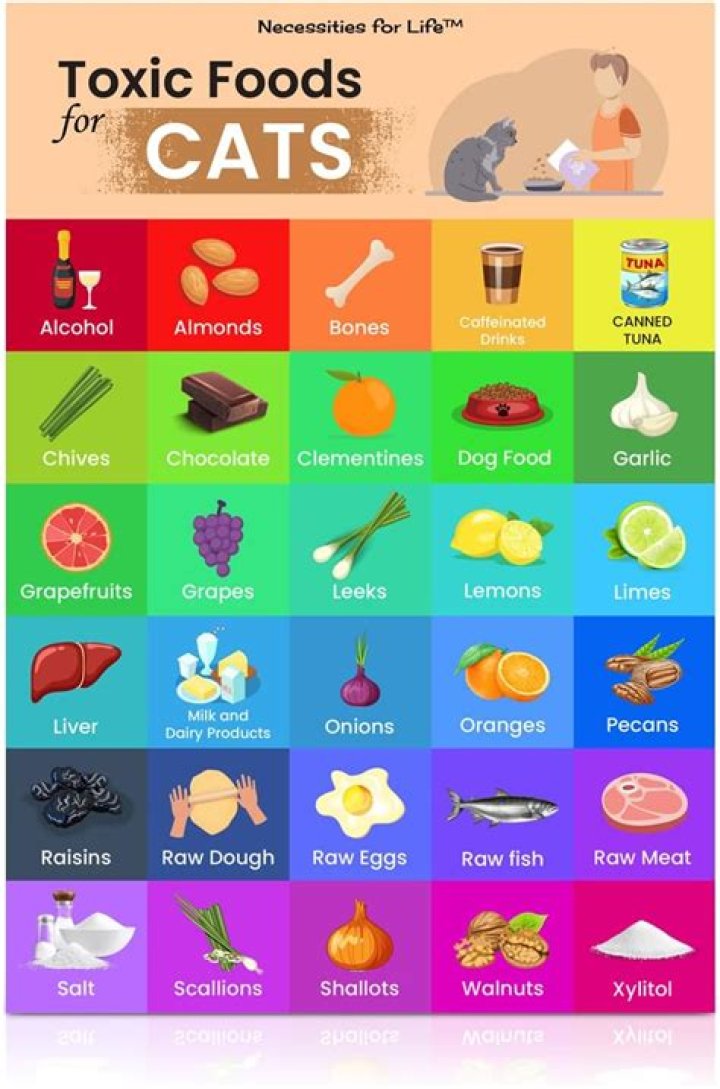 What food is toxic to rats?