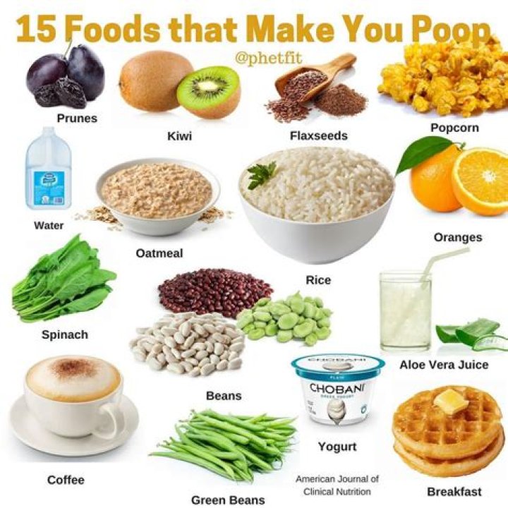 What foods make you poop?