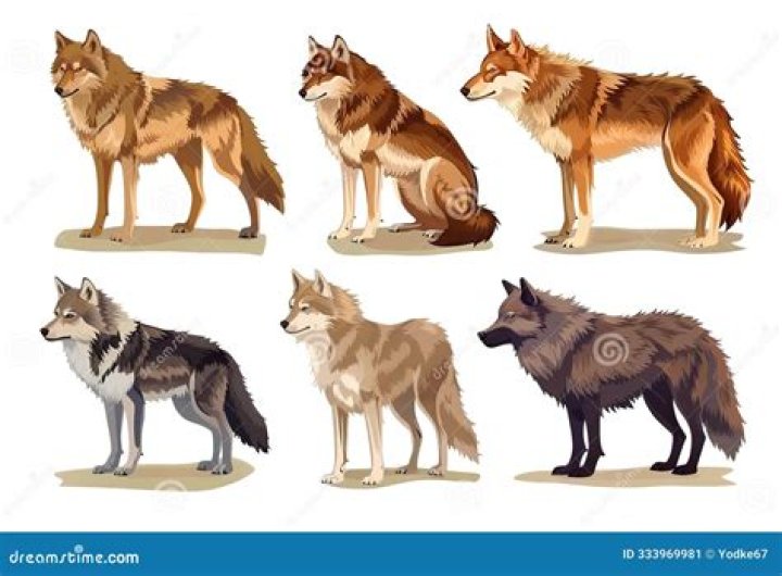 What happens if wolf Link dies?