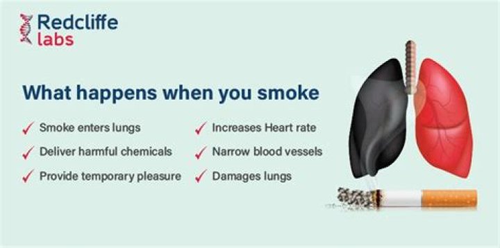 What happens when your pet is sick in Sims 4?