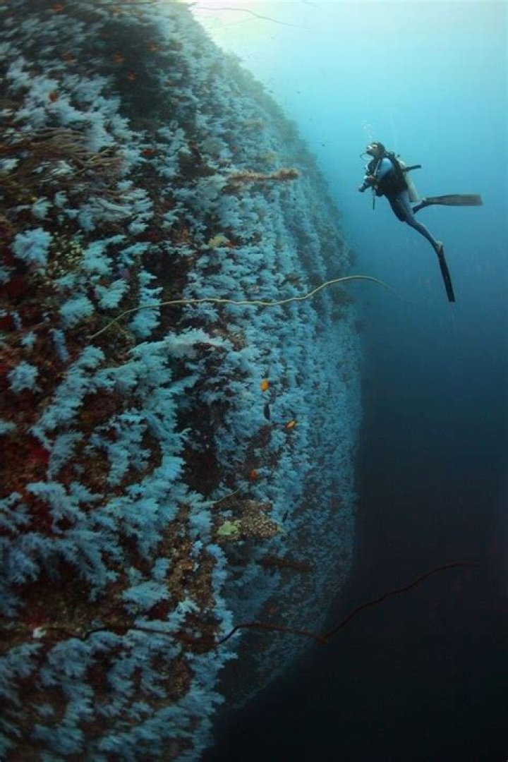 What is an ocean drop off?