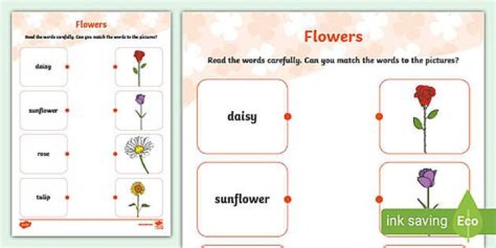 What is flower short answer?