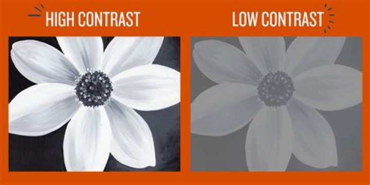 What is high contrast in art?