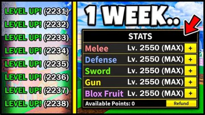 What is level max?