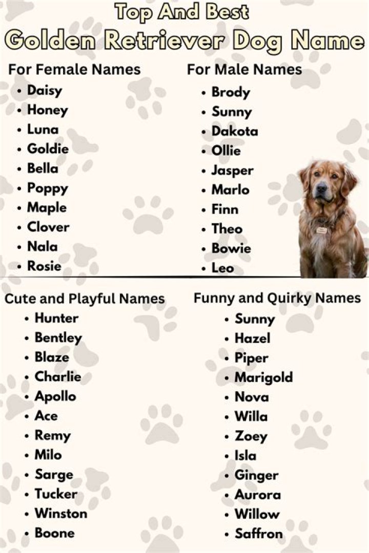 What is the best golden retriever name?