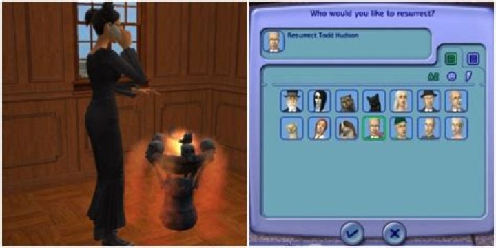 What is the cheat to get the resurrect-O-Nomitron on Sims 2?