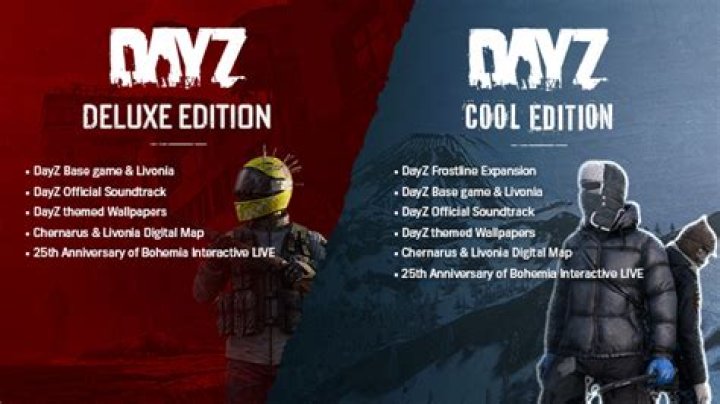 What is the difference between DayZ and DayZ Standalone?
