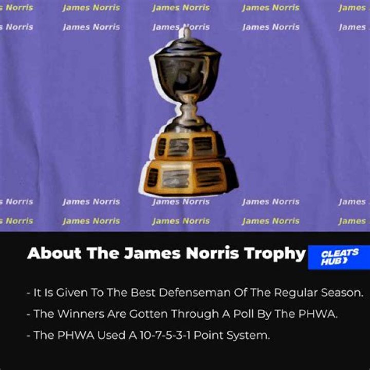 What is the Norris Trophy awarded for?