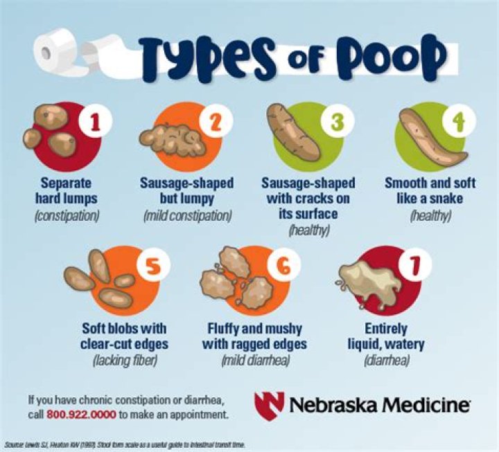 What is the perfect poop?