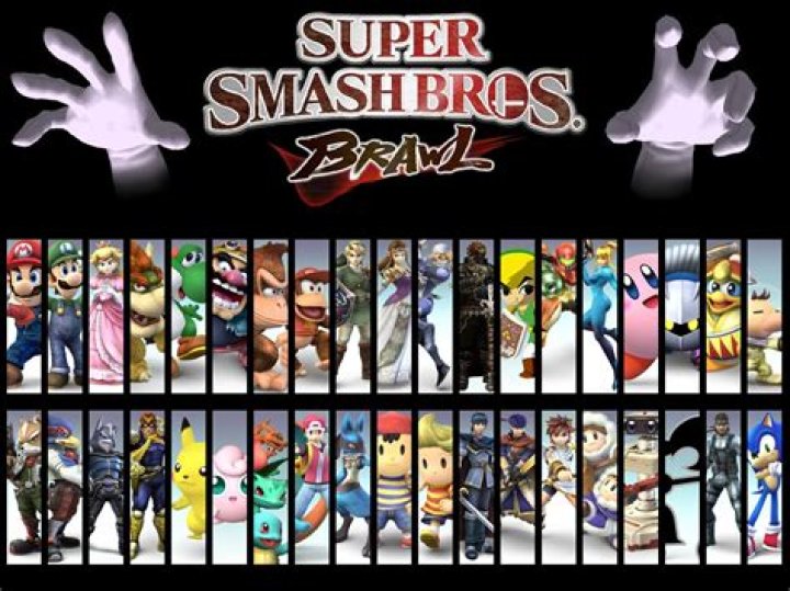 What kind of multiplayer does Super Smash Bros Brawl have?