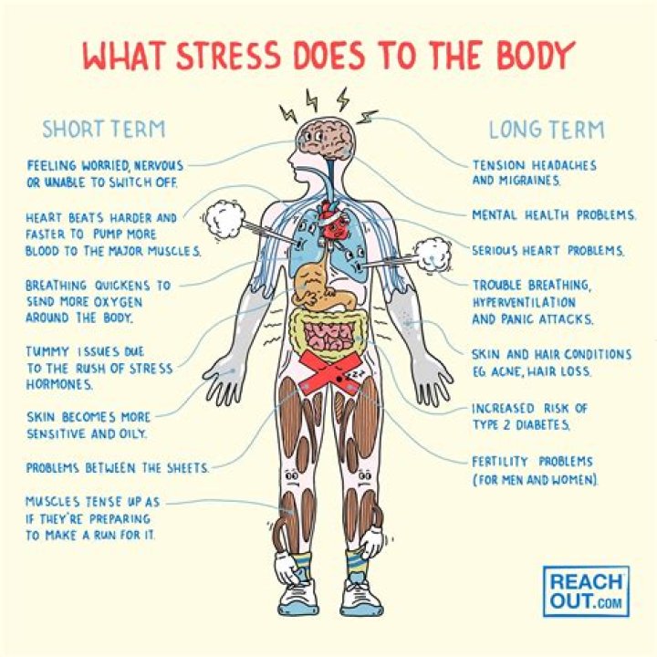 What part of your body does Leo control?