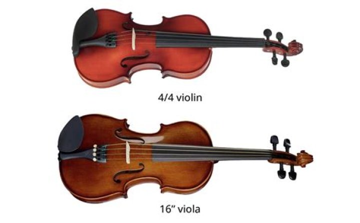What songs can the violin be found in?