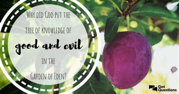 What was the fruit of knowledge?