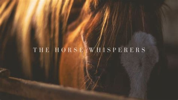 Where are the horse whisperers on Horse Isle?