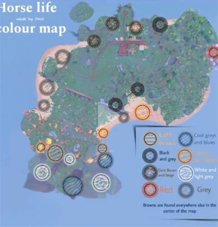 Where can I find all of the treasure map pieces?