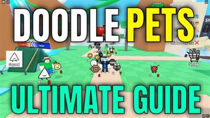 Where can I find the Pets World codes?
