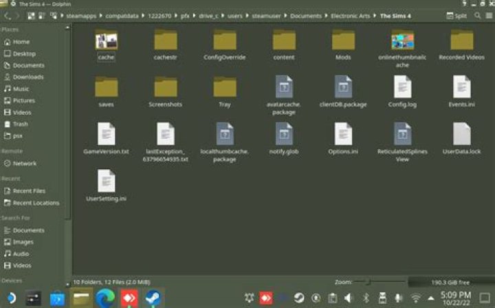 Where do I put Sims resource downloads?