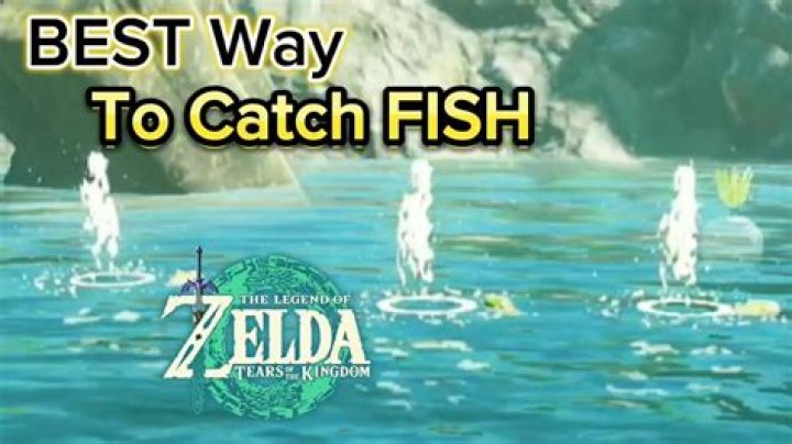 Where do you get fish in Zelda Spirit Tracks?