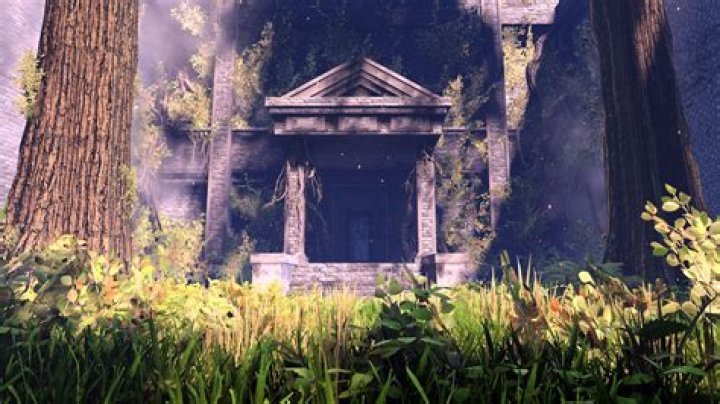 Where do you go in the forest temple?