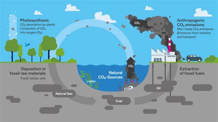 Where does carbon dioxide come from?