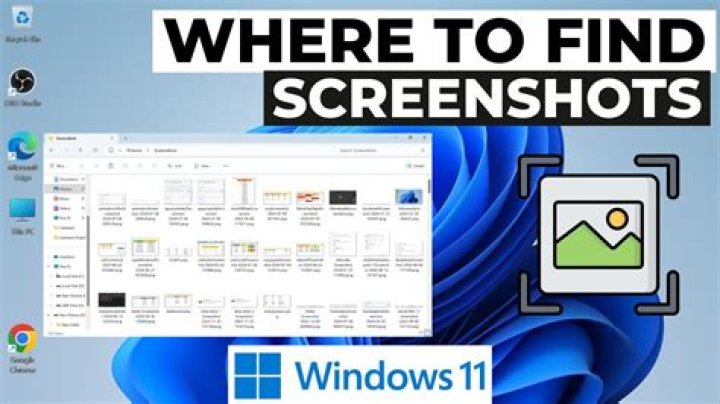 Where I can find my screenshot?