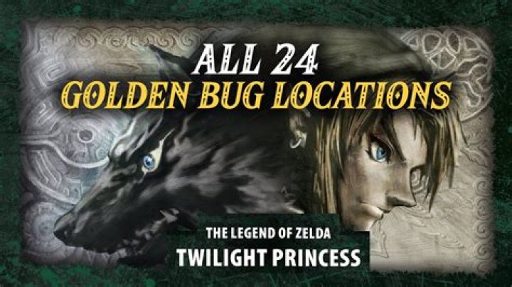 Where is the female beetle in Twilight Princess?