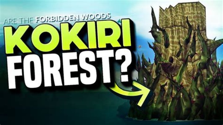 Where is the Kokiri Forest?