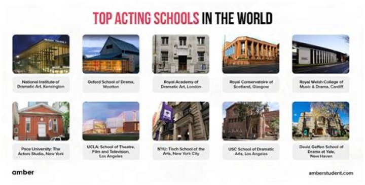 Which Indian acting school is best?