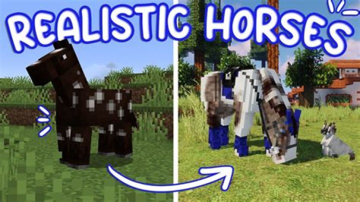 Which is the best horse server for Minecraft?