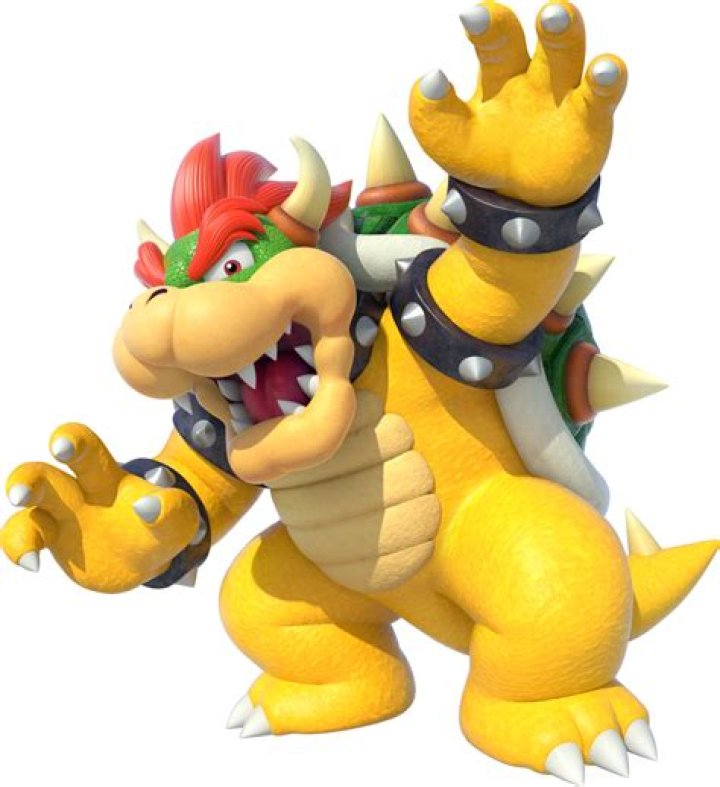 Who is Bowser in Super Smash Bros Brawl?