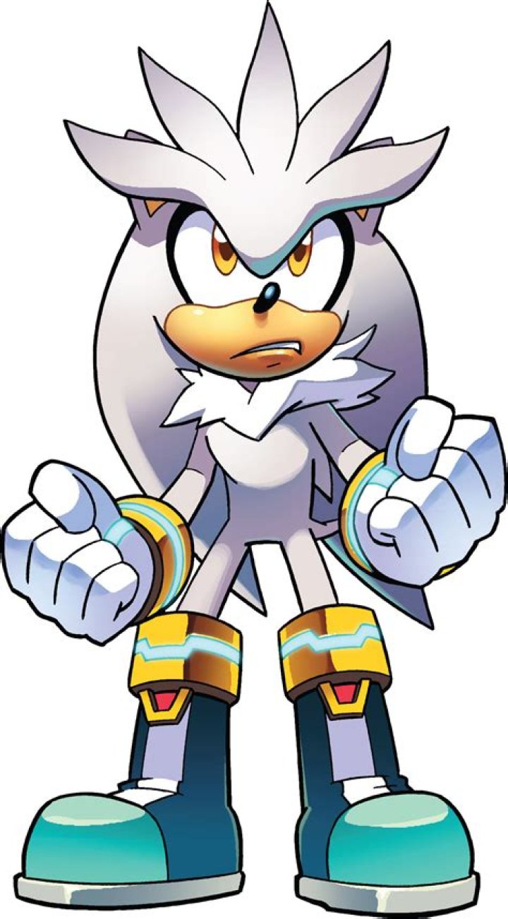 Who is silver the Hedgehog in Sonic Universe?