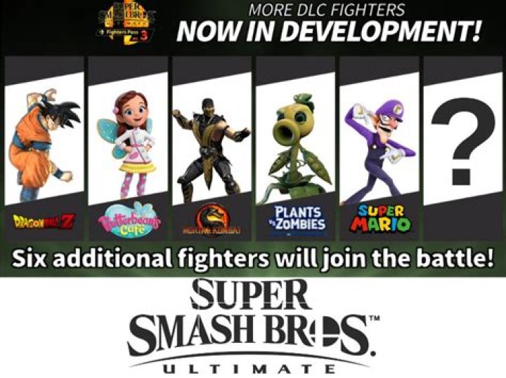 Who is the next Super Smash Bros fighter?