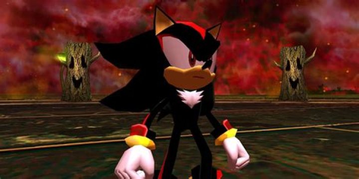 Why did Sega make Shadow the Hedgehog game?