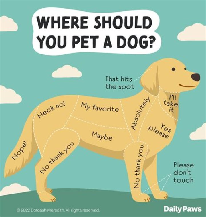 Why do dogs get mad when you bark at them?