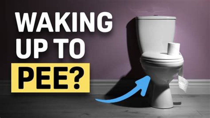 Why do I need to pee straight after peeing?