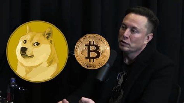 Why Elon Musk buy Dogecoin?
