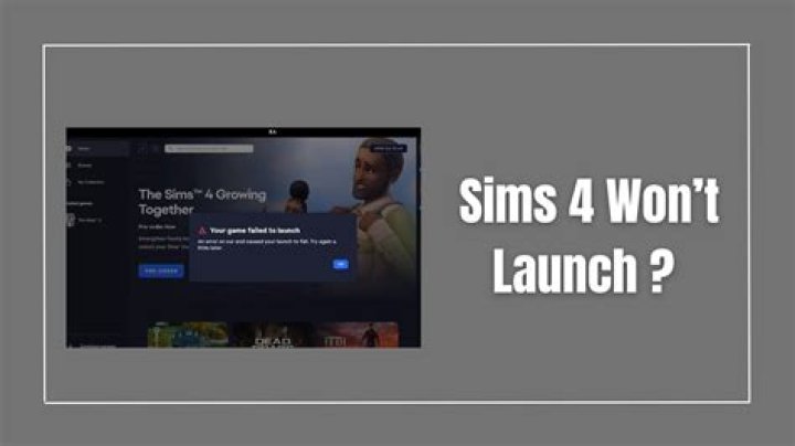 Why is my Sims not working on my laptop?