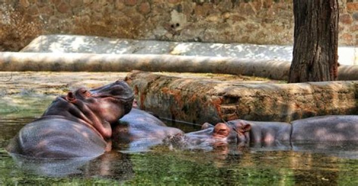 Why we should not keep water near your head while sleeping?